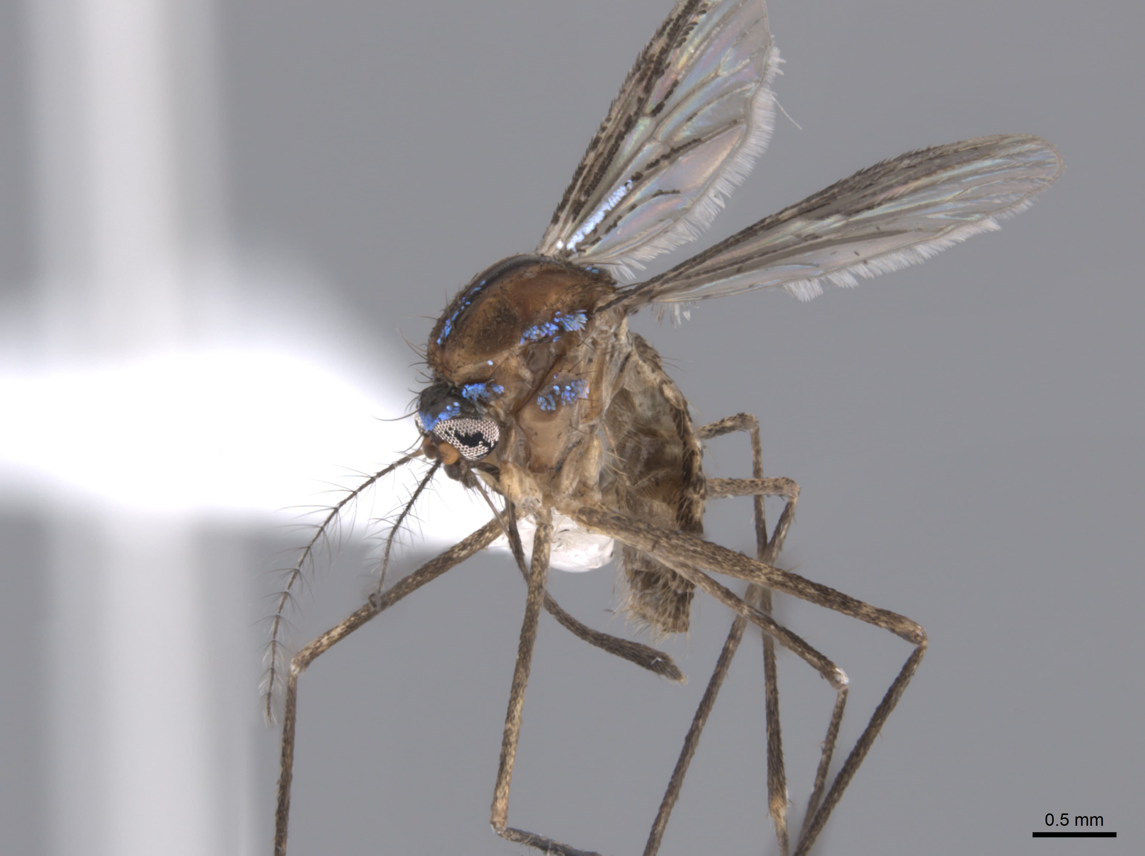 Photo by Alexandra Westrich, The Field Museum