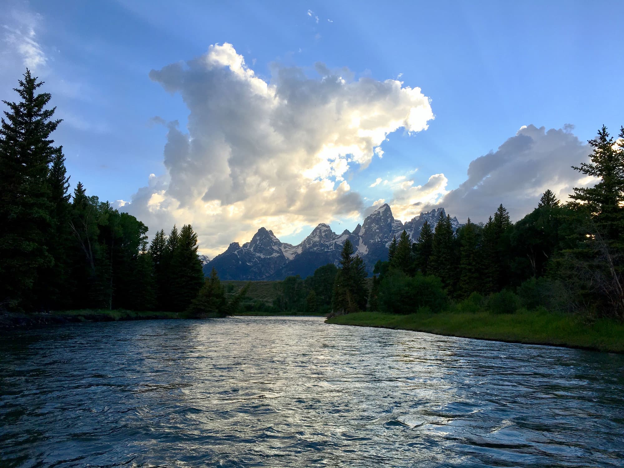 A lake surrounded by tall pine trees with a snow-capped mountain range in the background. The sky is blue with large fluffy white clouds.